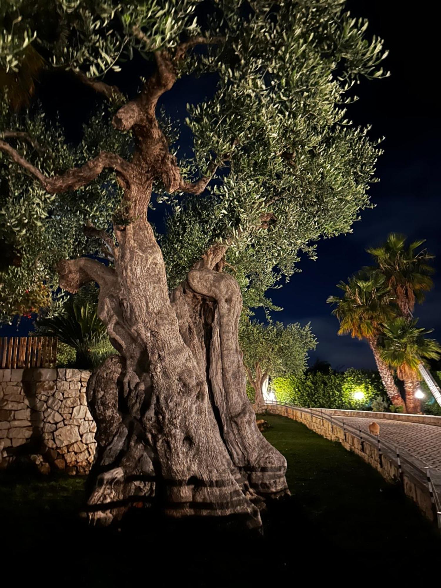 Alla Villa Di Angelo Monopoli Buitenkant foto